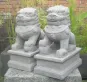 morepic-2